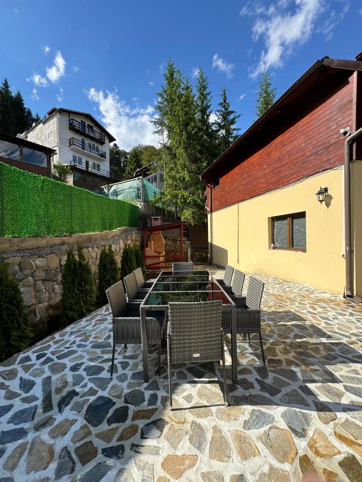 Ollie'S Mountain Chalet Buşteni Extérieur photo